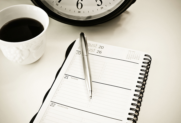 Plan the next day