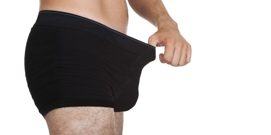 PENIS SIZE