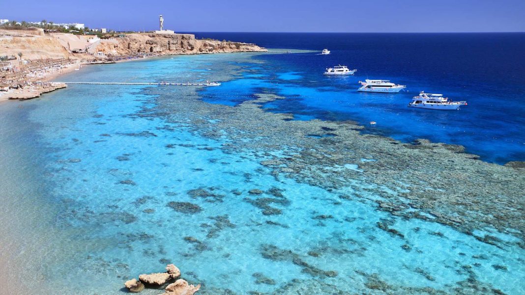 beach egypt
