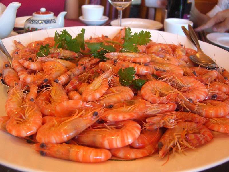 shrimp