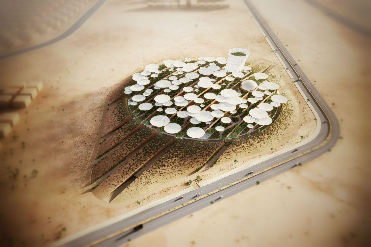 science-egypt-2