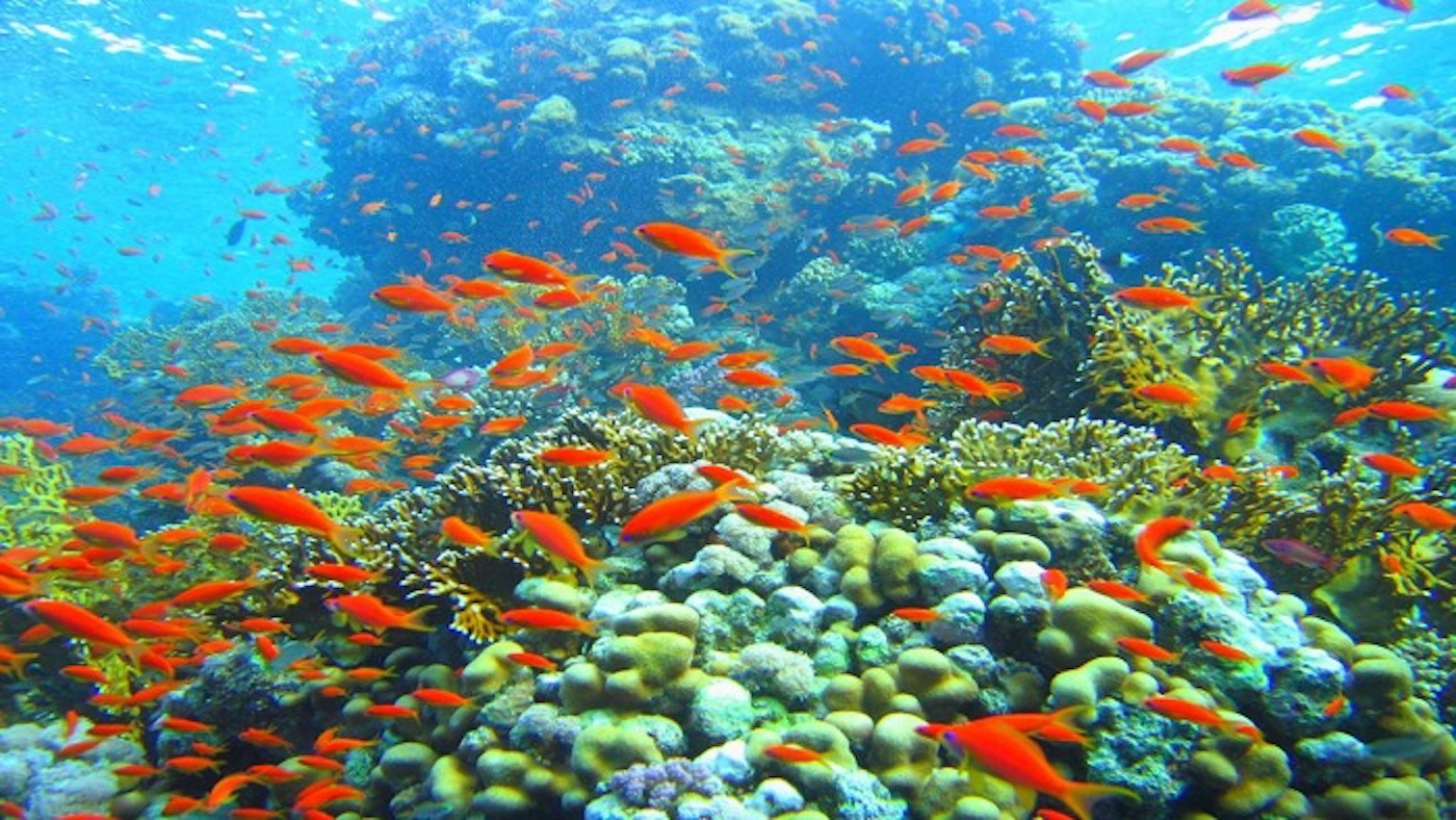 Cu Lao Cham sea