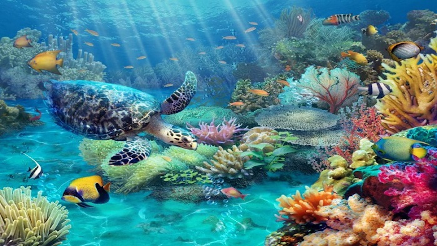 Famous scuba diving spots in Vietnam for adventurers