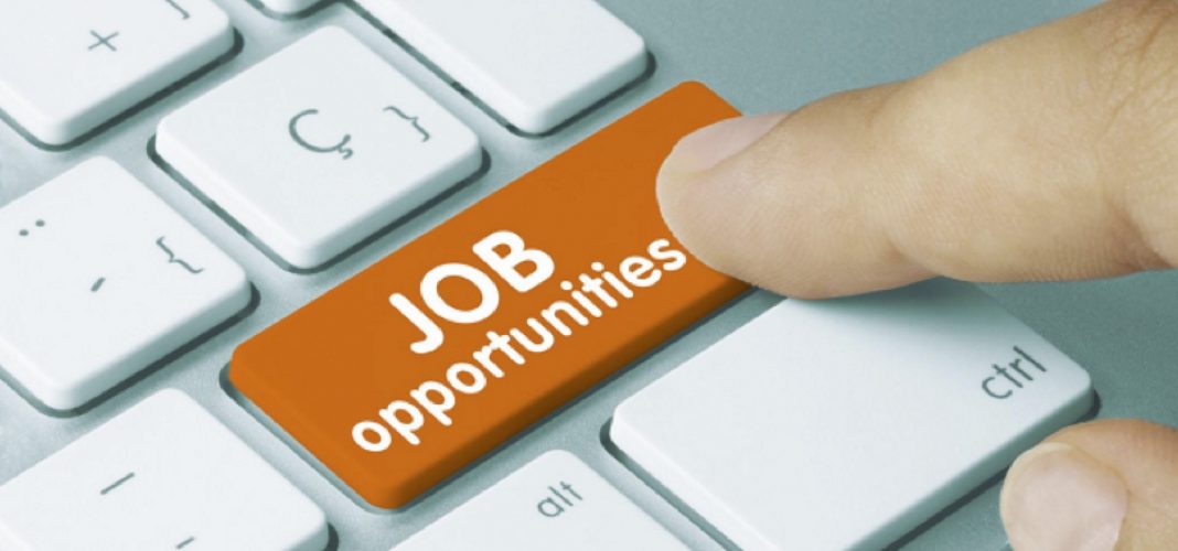 Top Sectors for Lucrative Jobs in Faridabad