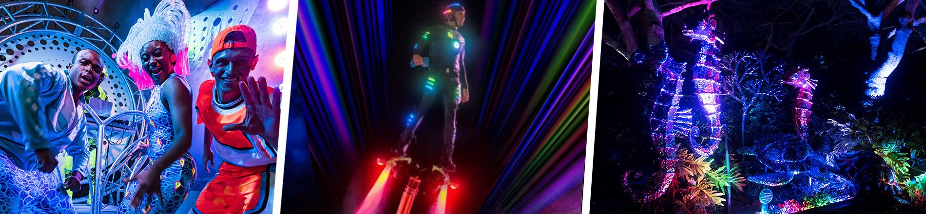SeaWorld's Electric ocean spectacular