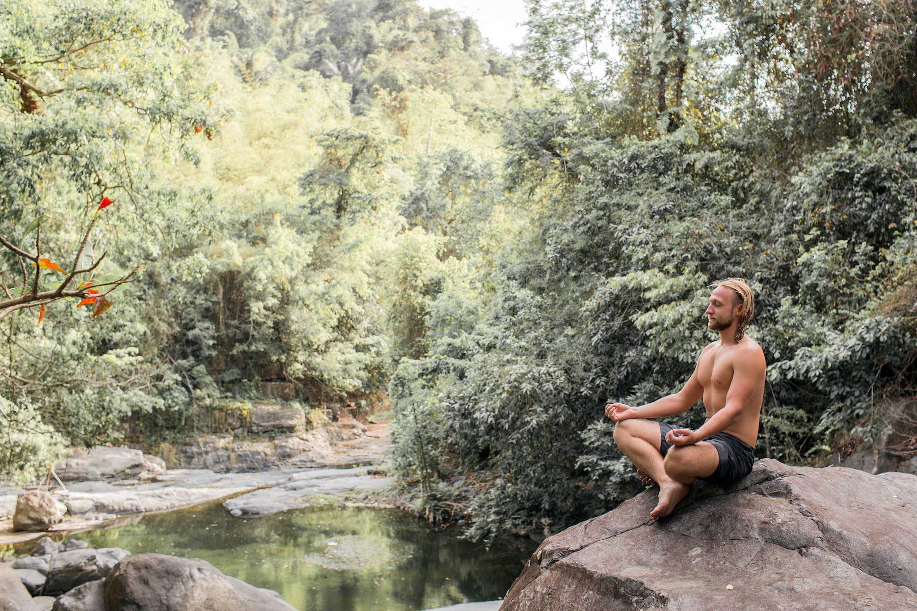 the guy is meditating on a stone in the forest