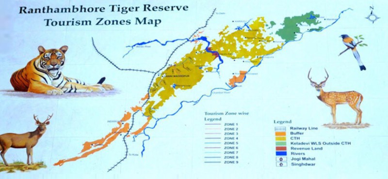 Ranthambore National Park Tigers