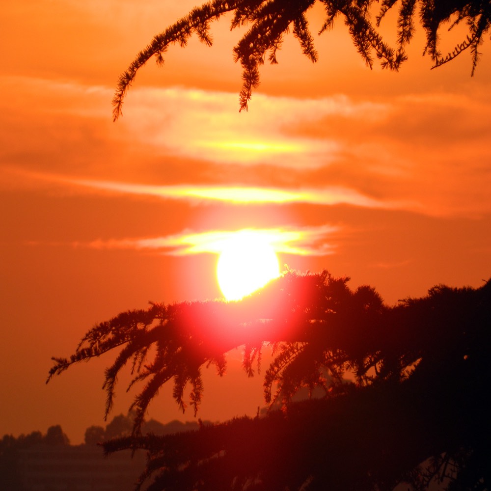 Shimla India - A Perfect Place for Vacations