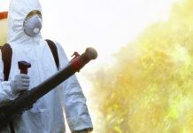 4 Best Advantages Of Choosing Pest Exterminator