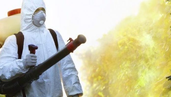 BestAdvantagesOfChoosingPestExterminator