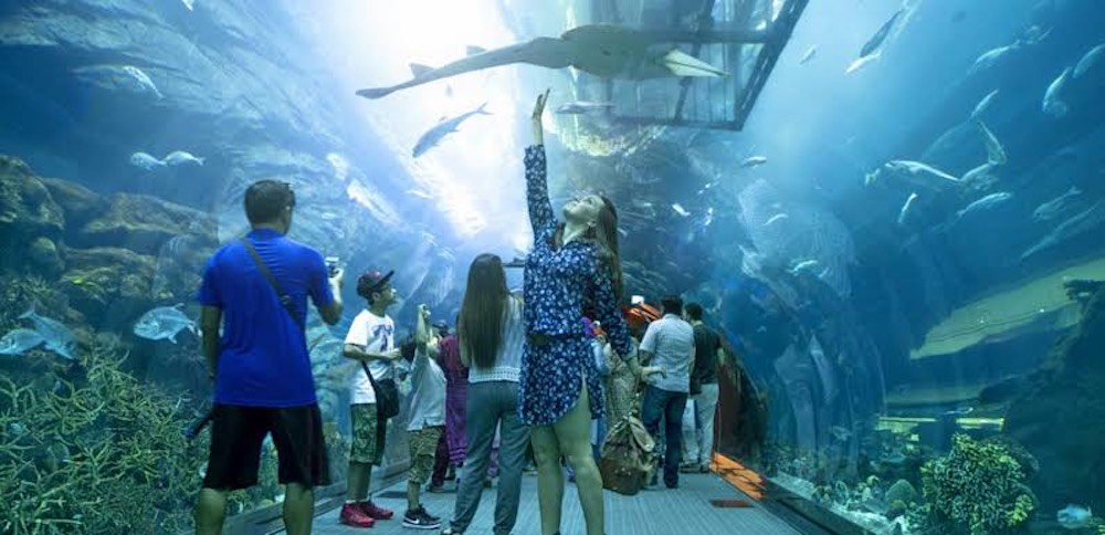 Dubai Aquarium