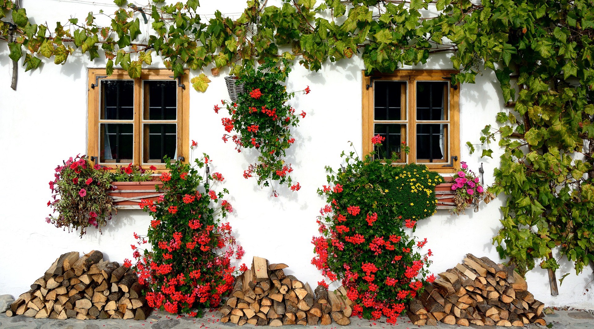 Home Flowers