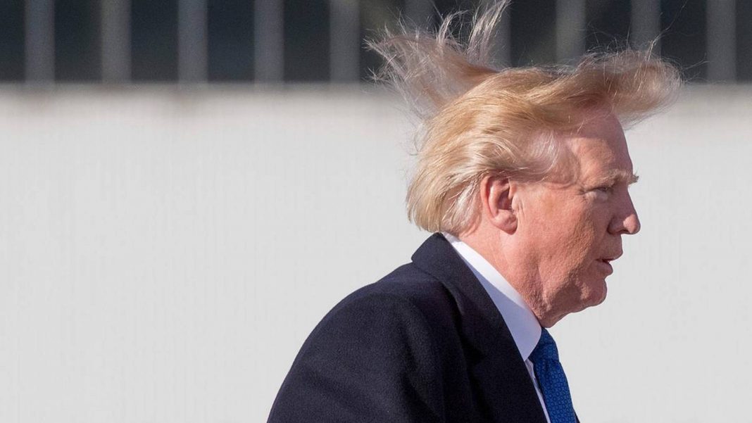 donald trump hair wig TOUPET