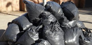 How Much Does a Trash Dumpster Rental Cost? What Can You Do If You Miss Garbage Day?