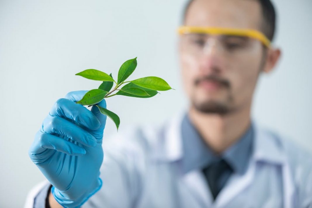 What Is an Environmental Health and Safety Management System?