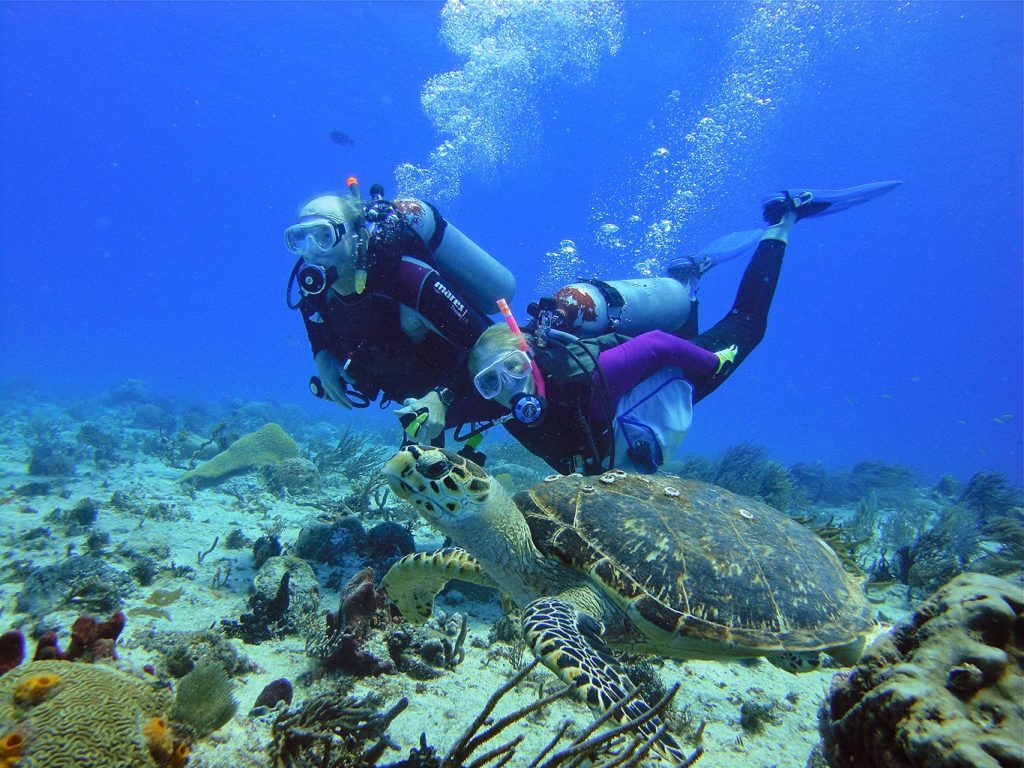 scuba lessons playa del carmen