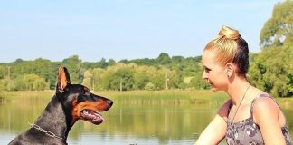 Things Pet Movers in Singapore suggest when shifting apartment dog paw balm