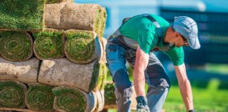 Find a Landscaper: 5 Key Things to Look for in a Landscaping Company