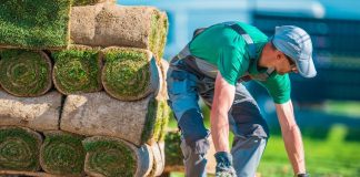 Find a Landscaper: 5 Key Things to Look for in a Landscaping Company FindaLandscaper:KeyThingstoLookforinaLandscapingCompany