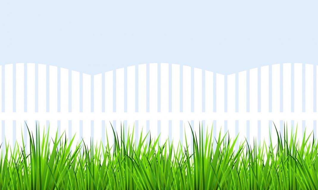 fence