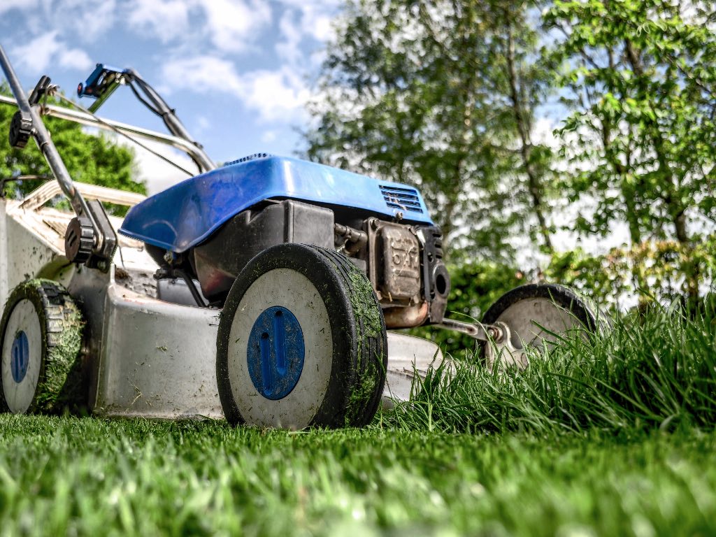 lawn