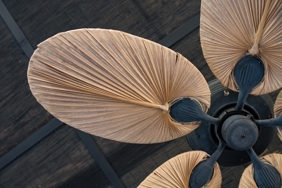 Tropical Ceiling Fans- What to Know Before Buying