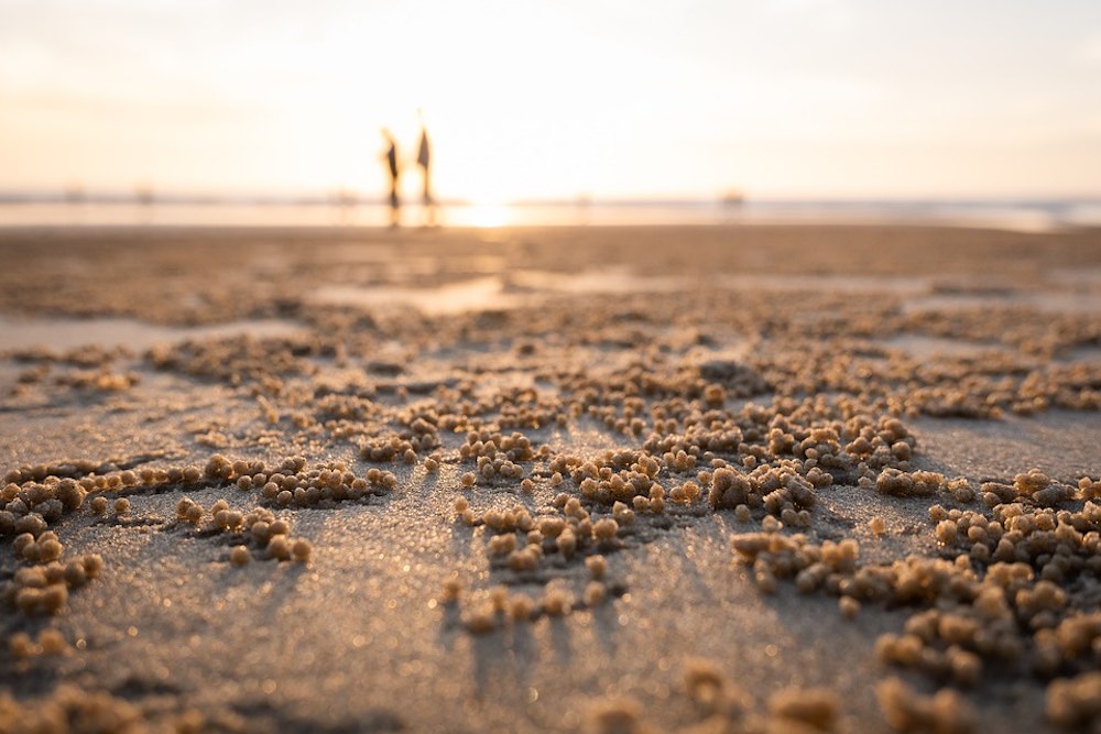 beach sand