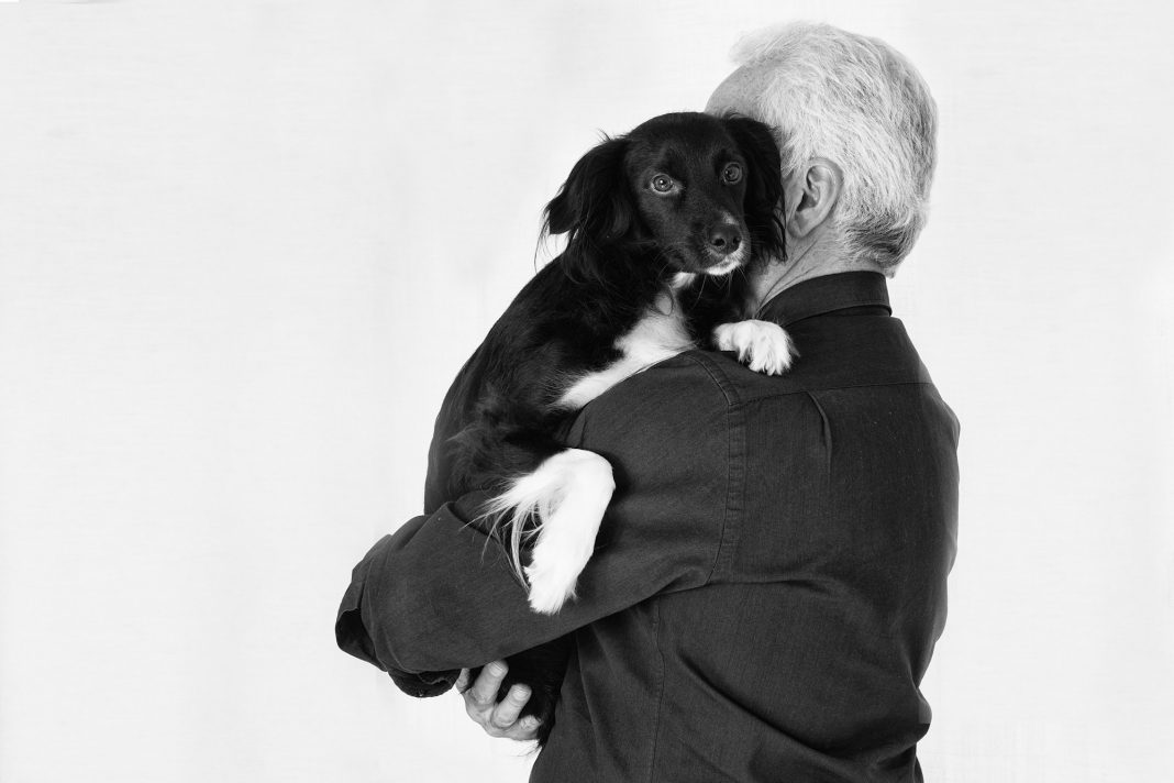 pet dog friend