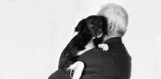 How Consistent Habits Promote a Healthy, Happy Pet pet dog friend