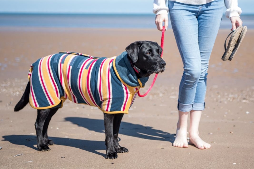 Beach Dog Drying Coat