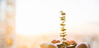 6 Innovative Technologies for Growers and Shippers business growth