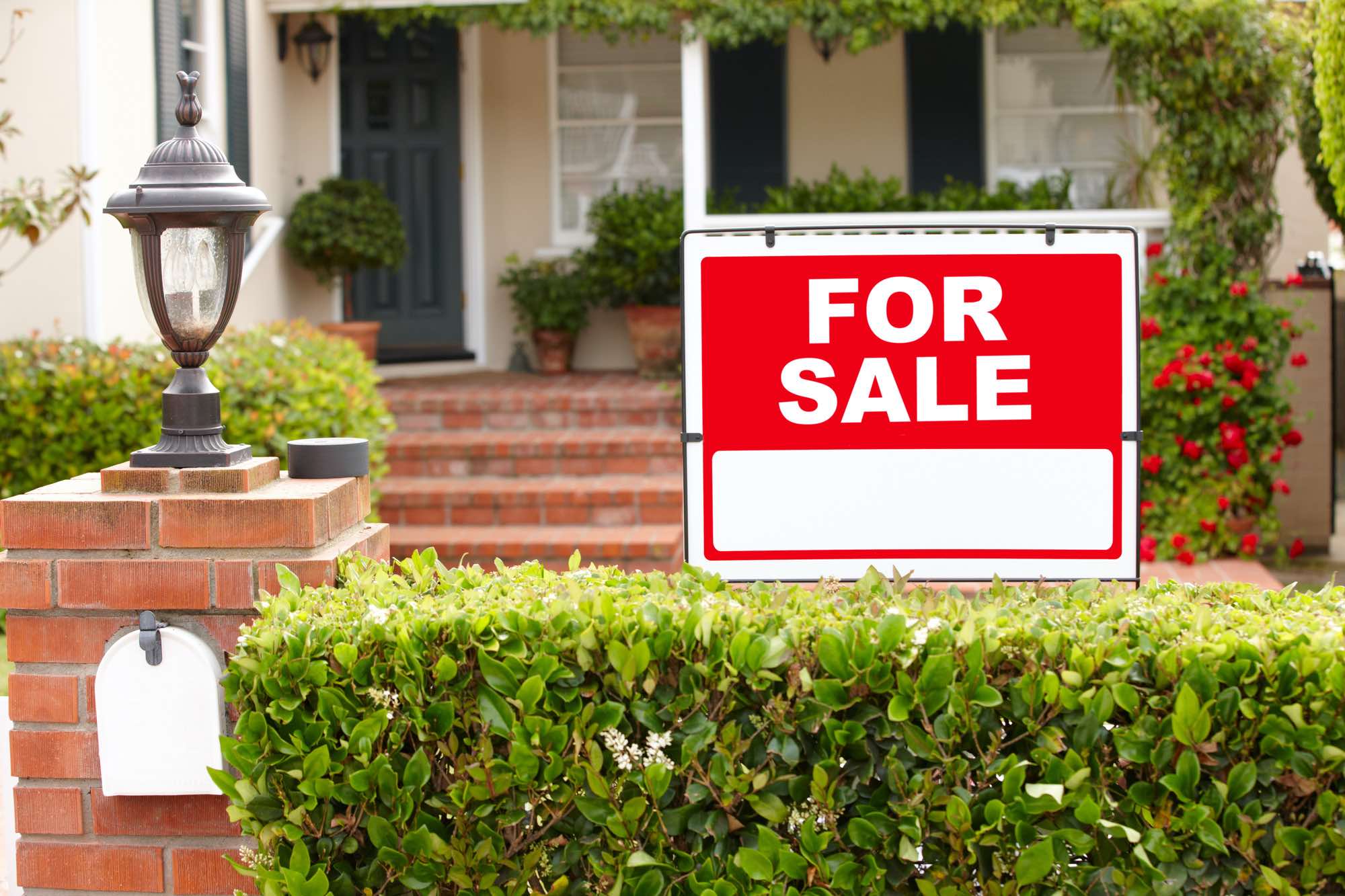 Real Estate