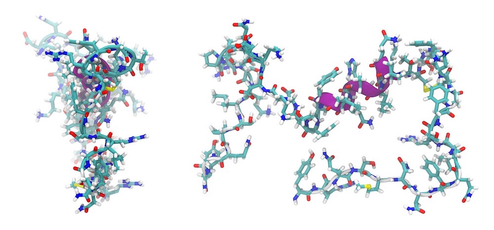 amino acids