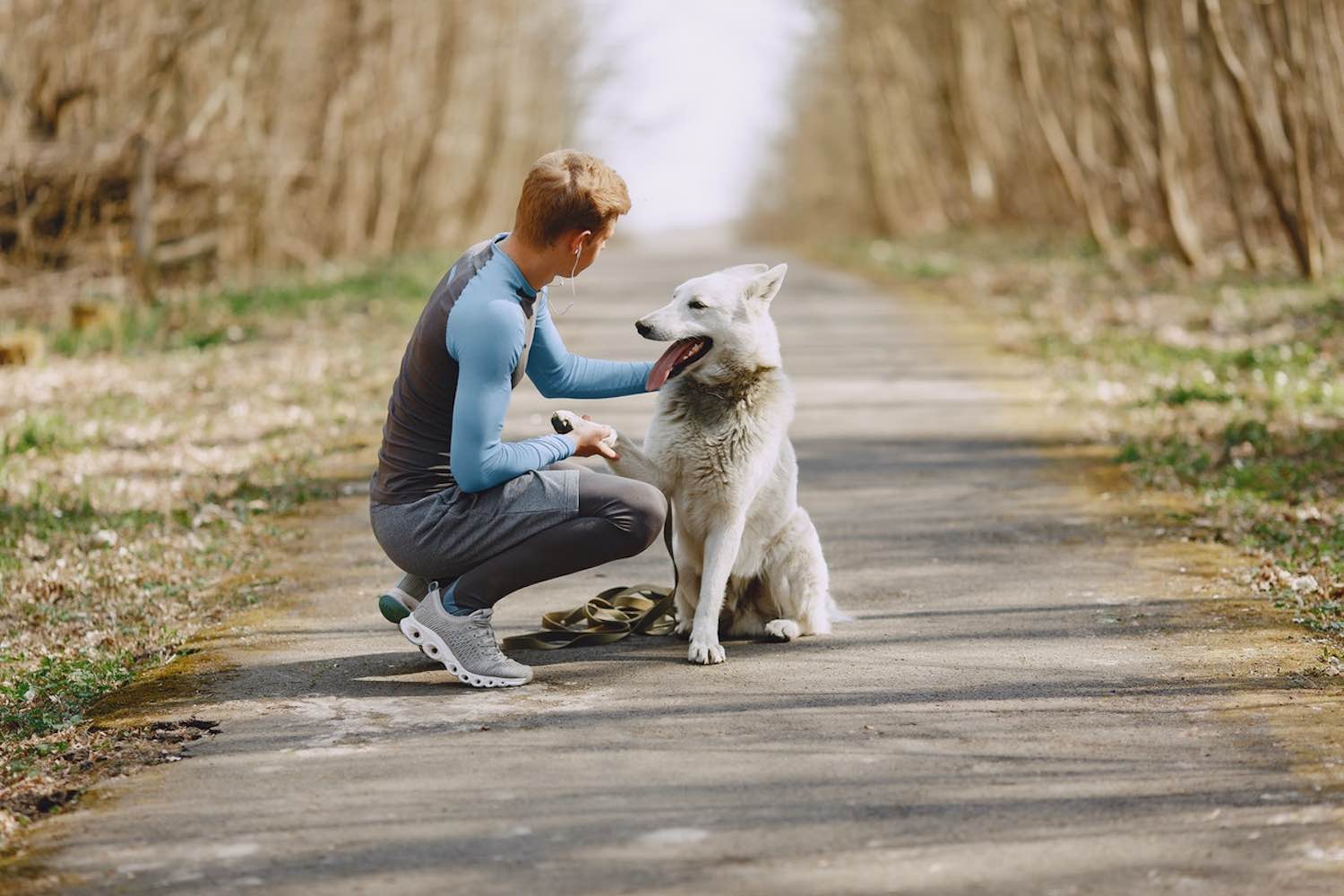 5 Reasons Dogs Make Our Lives Better