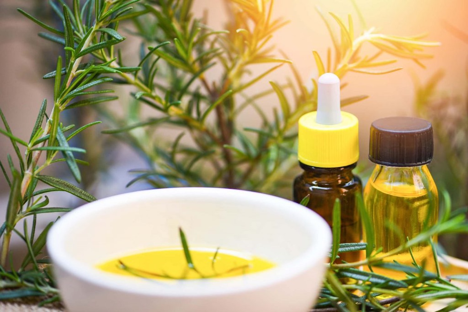 Olive Oil