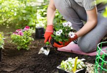 Beyond Lawn Care- 7 Tips for Hiring Reliable Landscaping Services