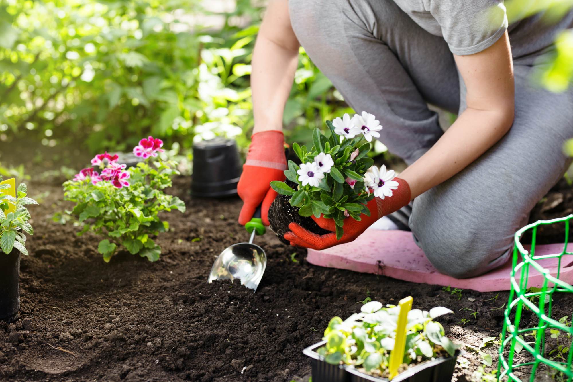 Beyond Lawn Care- 7 Tips for Hiring Reliable Landscaping Services