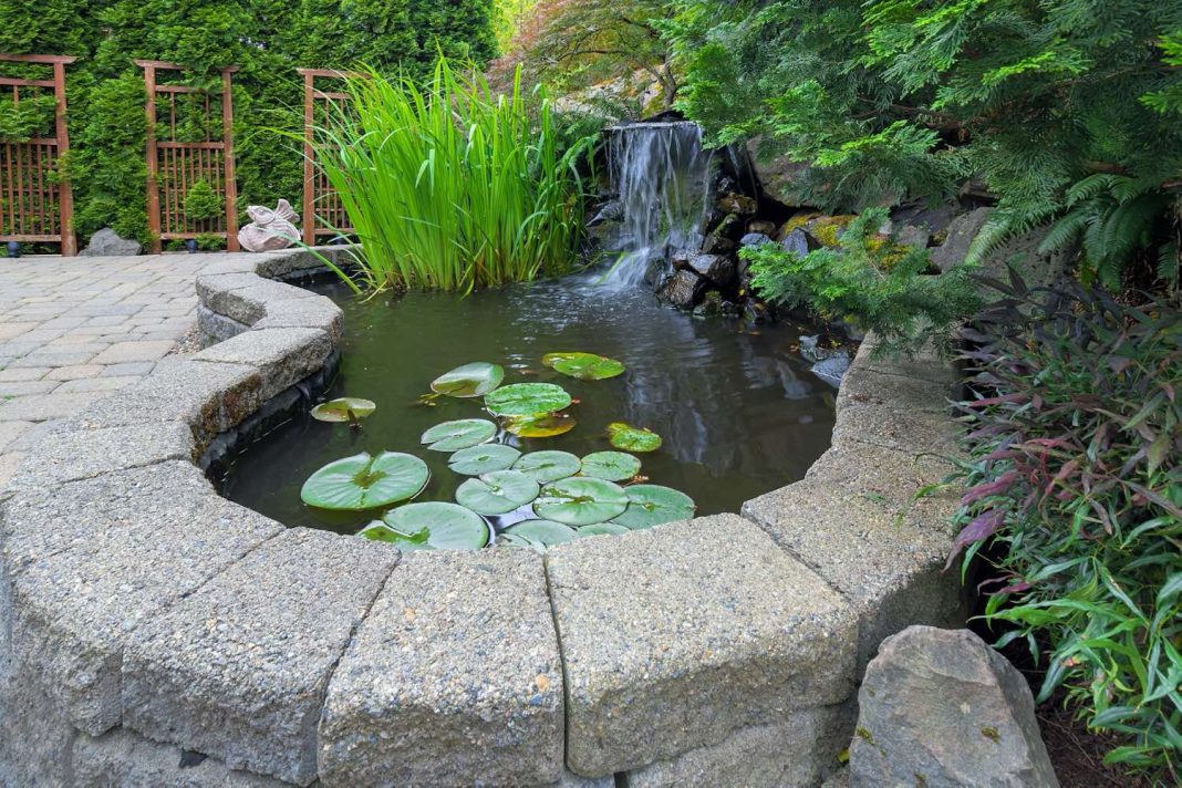 How Much Does It Typically Cost to Install a Fountain?