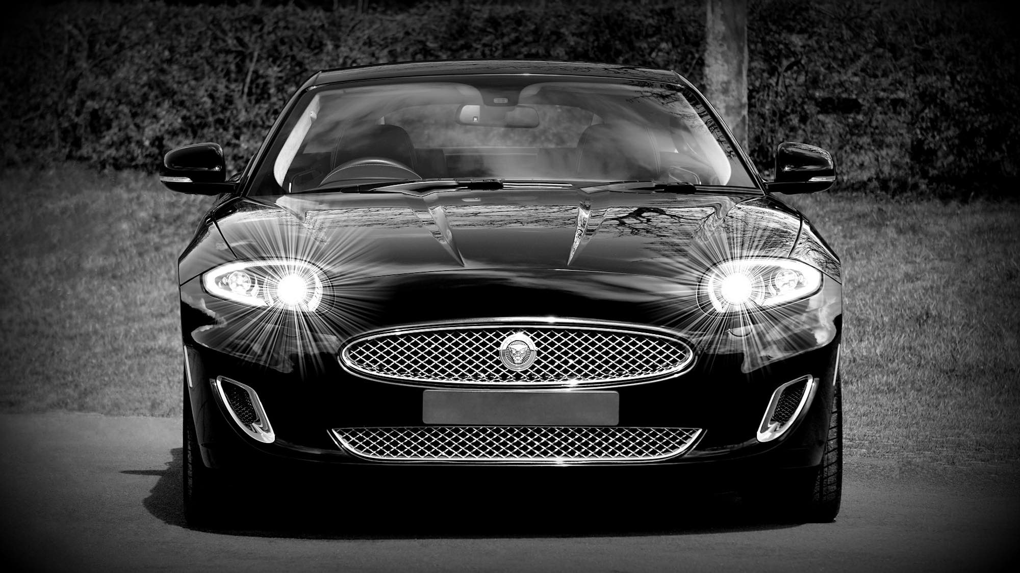 jaguar