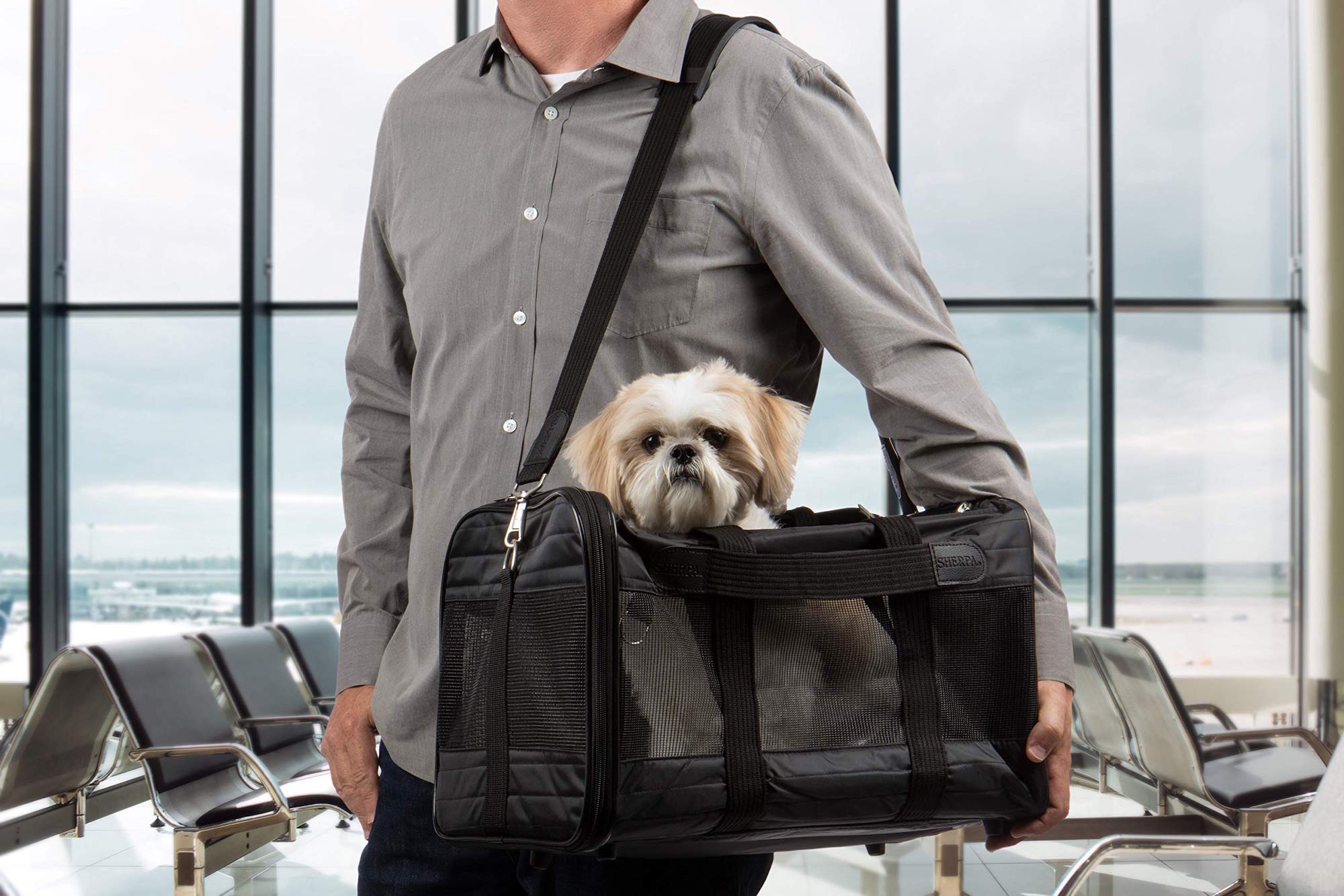 Travel Pet Carrier