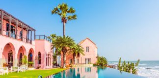 The Ultimate Guide to a Luxurious Weekend in Sarasota: Beaches, Dining & Cultural Escapes florida