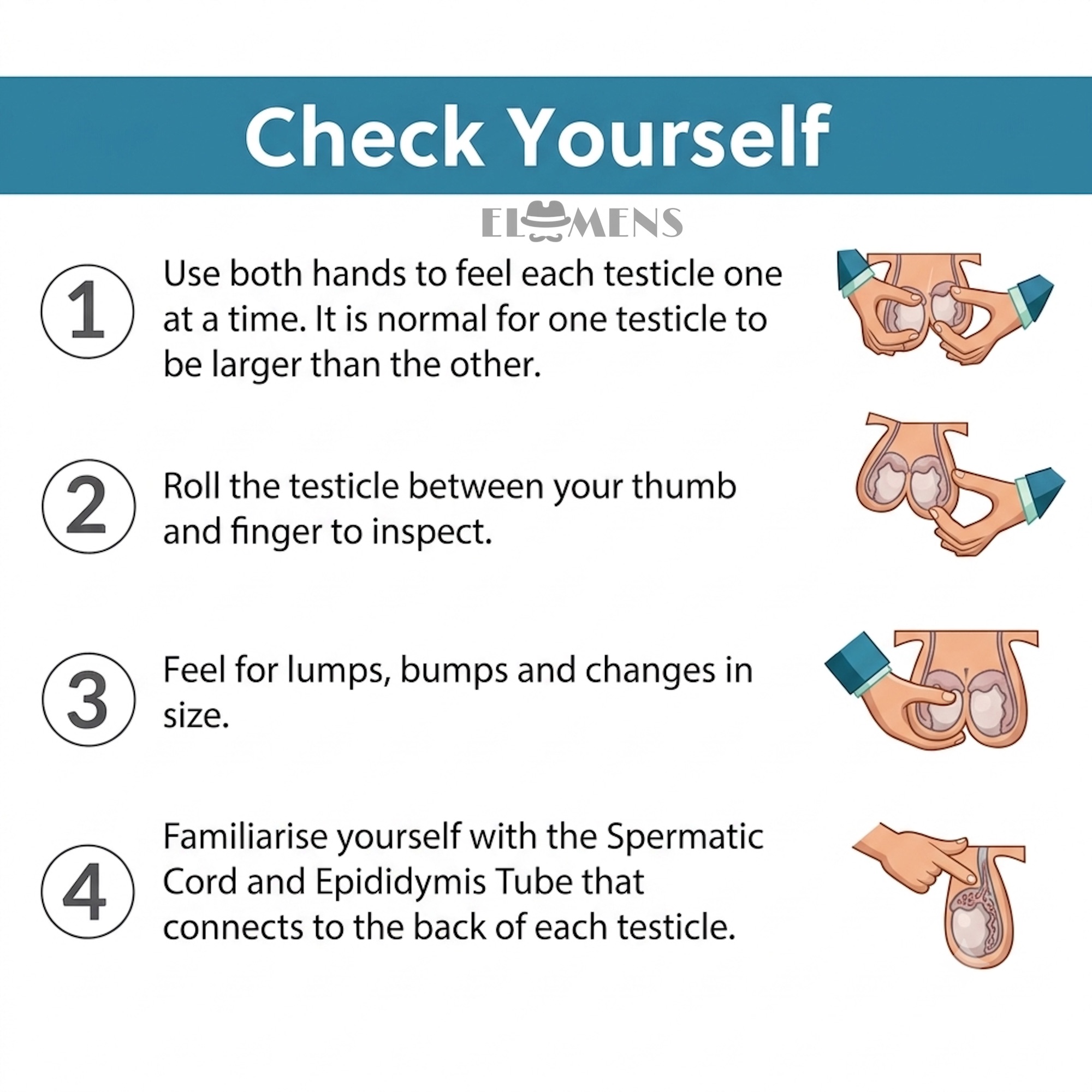 Checking Your Testicles